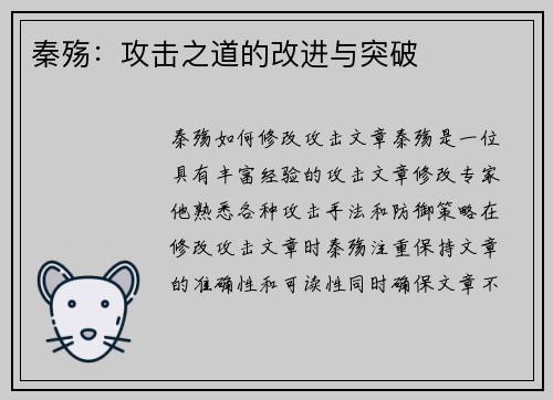 秦殇：攻击之道的改进与突破